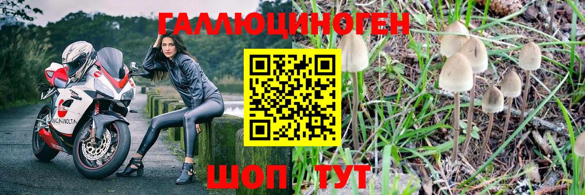 Псилоцибиновые грибы Cubensis  Псилоцибиновые грибы мицелий  наркота  Стерлитамак  Вход с VPN 